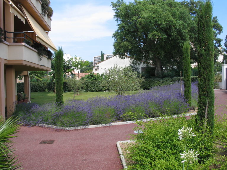 jardin provencal